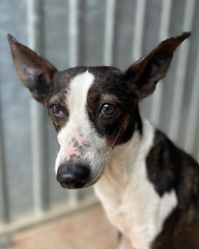 WhatsApp Image 2026-03-21 at 20.11.52