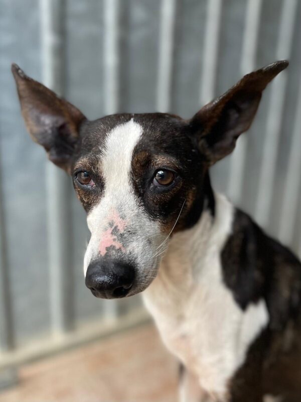 WhatsApp Image 2026-03-21 at 20.11.52