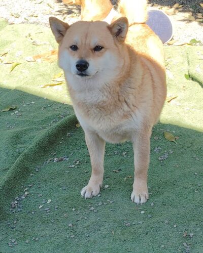 WhatsApp Image 2026-03-29 at 22.41.28