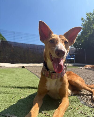 WhatsApp Image 2026-03-29 at 22.50.18