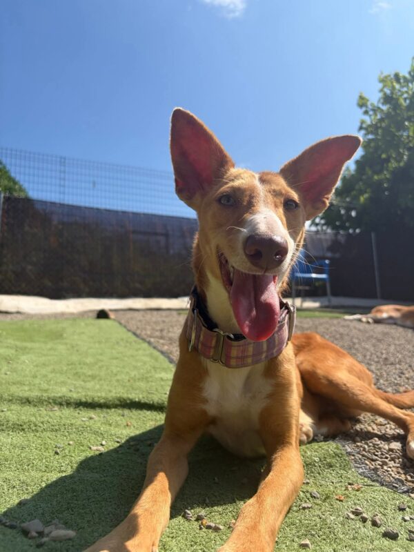 WhatsApp Image 2026-03-29 at 22.50.18