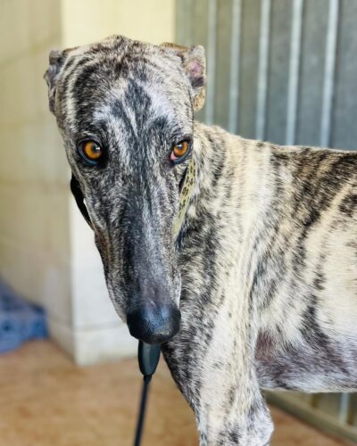 WhatsApp Image 2026-04-10 at 14.07.32 (1)