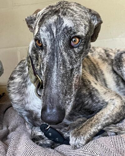 WhatsApp Image 2026-04-10 at 14.08.03