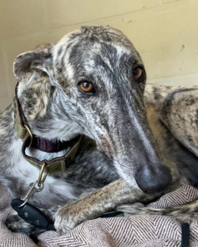 WhatsApp Image 2026-04-10 at 14.08.04