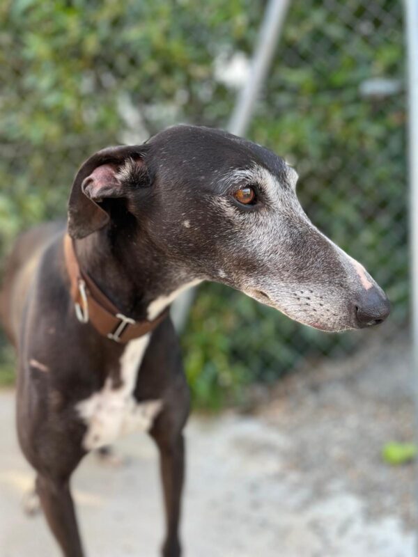 WhatsApp Image 2026-04-10 at 14.10.12