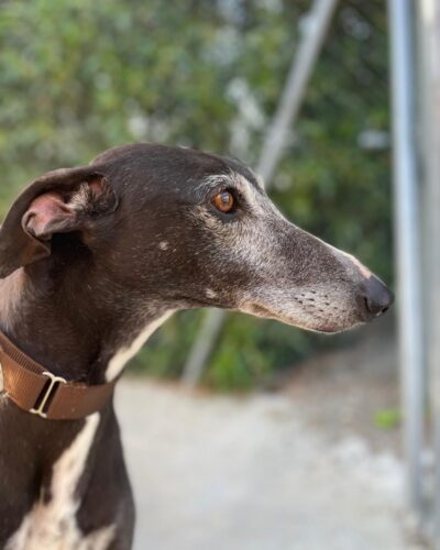 WhatsApp Image 2026-04-10 at 14.10.13