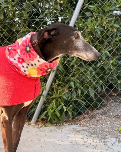 WhatsApp Image 2026-04-10 at 14.11.39 (6)