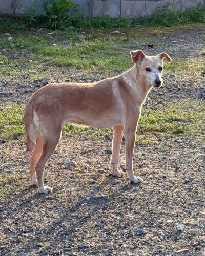 WhatsApp Image 2026-04-24 at 00.23.32