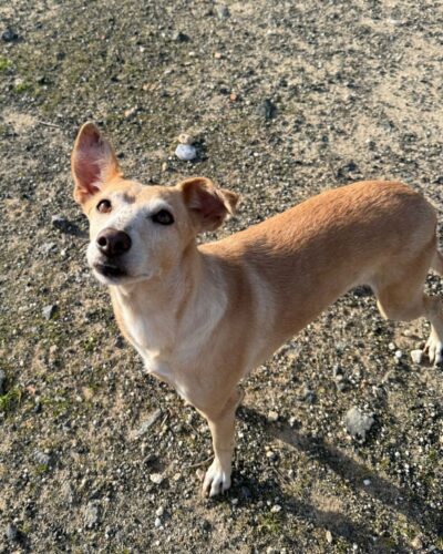 WhatsApp Image 2026-04-24 at 00.23.34 (2)