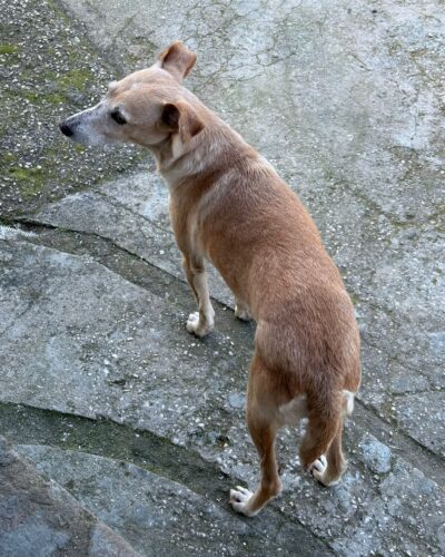 WhatsApp Image 2026-04-24 at 00.23.34