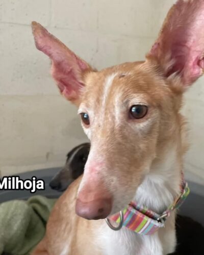 WhatsApp Image 2026-04-24 at 01.48.02