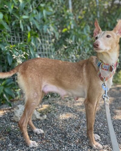 WhatsApp Image 2026-04-24 at 01.48.39