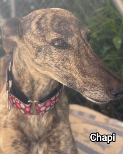 WhatsApp Image 2026-04-24 at 01.49.36