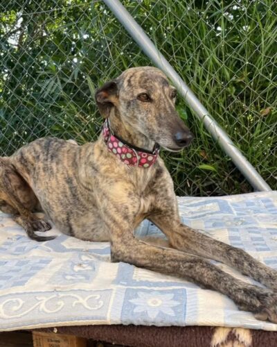 WhatsApp Image 2026-04-24 at 01.49.47