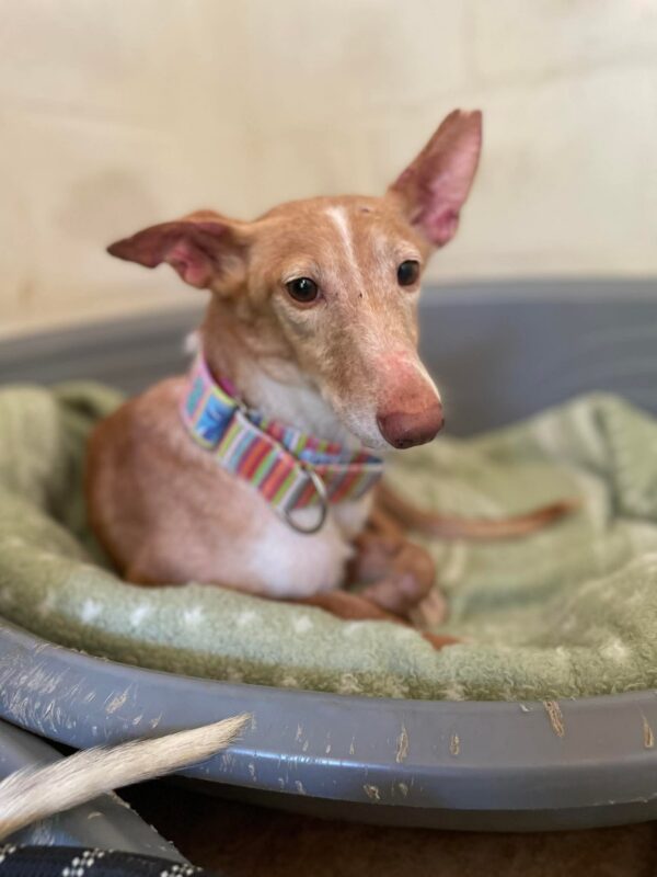 WhatsApp Image 2026-04-24 at 01.53.35