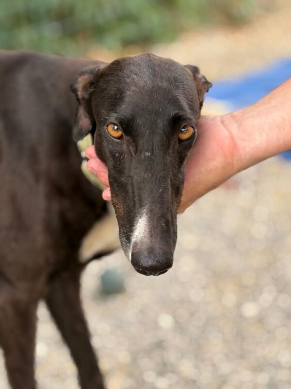 WhatsApp Image 2026-07-03 at 15.22.13 (1)